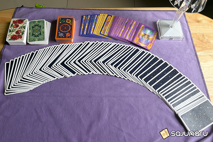 사주나루 비슈누