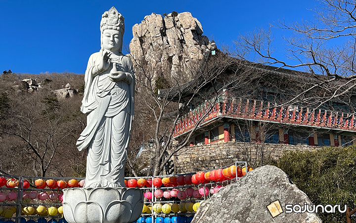 사주나루 대명